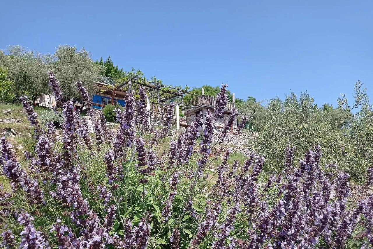 Hébergement de vacances Villa Casa Delle Olive à Mošćenička Draga Croatie