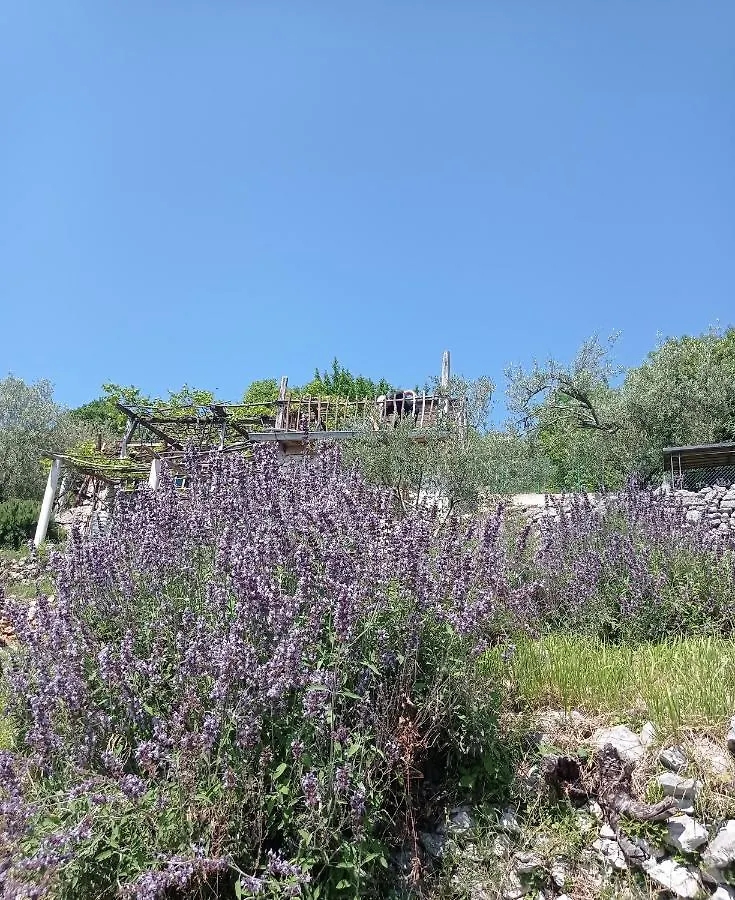 Hébergement de vacances Villa Casa Delle Olive à Mošćenička Draga