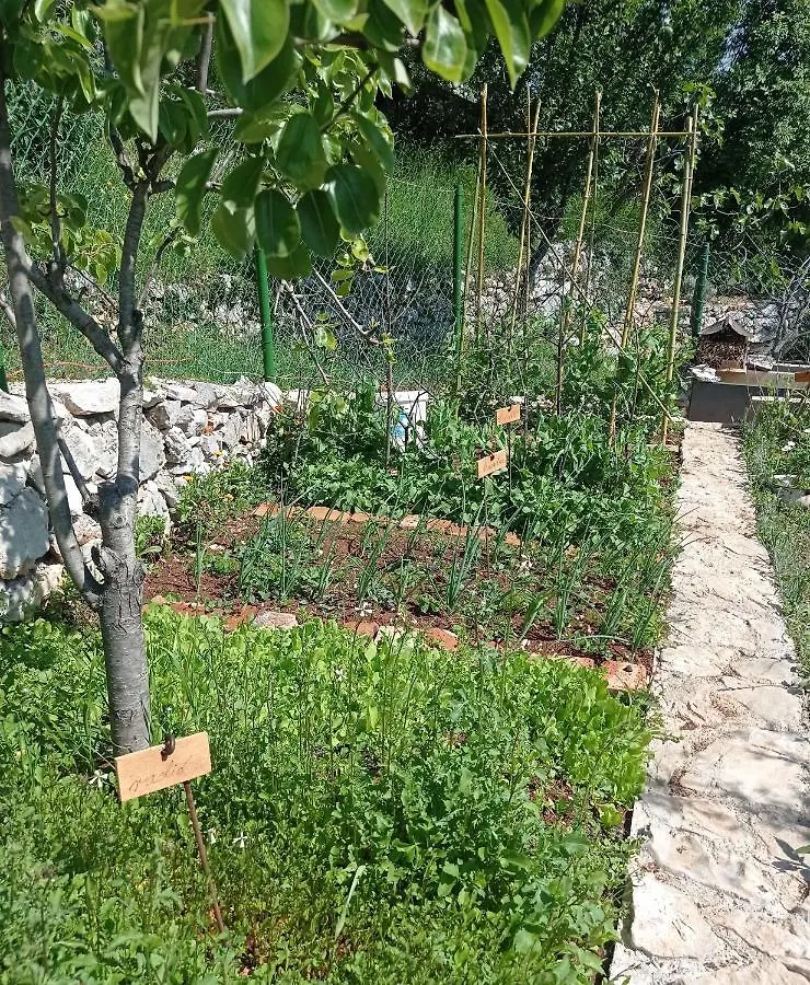 Hébergement de vacances Villa Casa Delle Olive à Mošćenička Draga